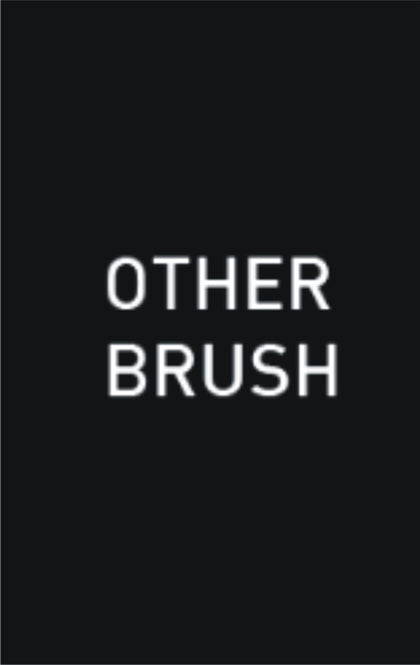 OTHER BRUSH
