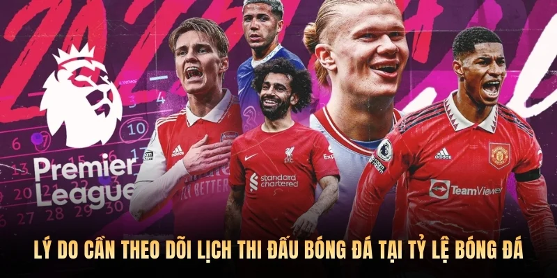 Lý do cần theo dõi lịch thi đấu bóng đá tại Tỷ lệ bóng đá.