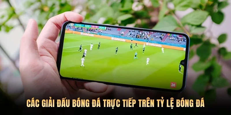 Các giải đấu bóng đá trực tiếp trên Tỷ lệ bóng đá.