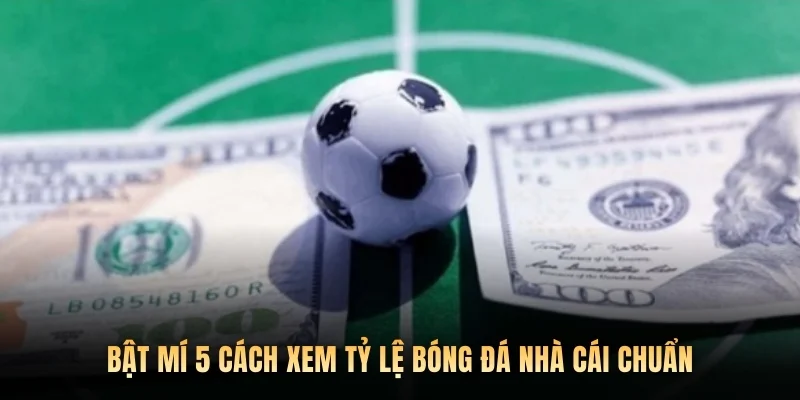 Bật mí 5 cách xem tỷ lệ bóng đá nhà cái chuẩn