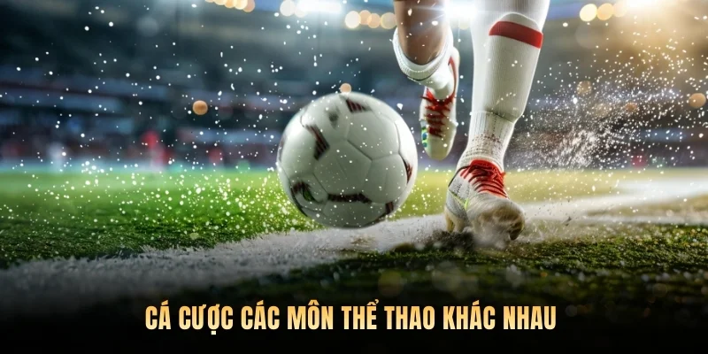 Cá cược các môn thể thao khác nhau 
