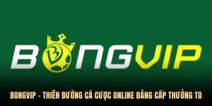 Bongvip – Thiên Đường Cá Cược Online Đẳng Cấp Thưởng To