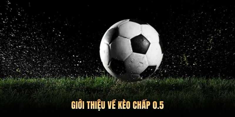 Giới thiệu về kèo chấp 0.5