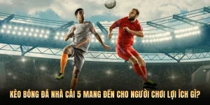 Kèo Bóng Đá Nhà Cái 5 Mang Đến Cho Người Chơi Lợi Ích Gì?