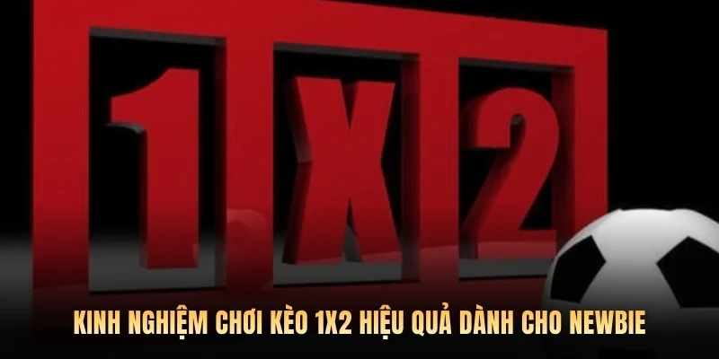 Kinh nghiệm chơi kèo 1X2 hiệu quả dành cho newbie