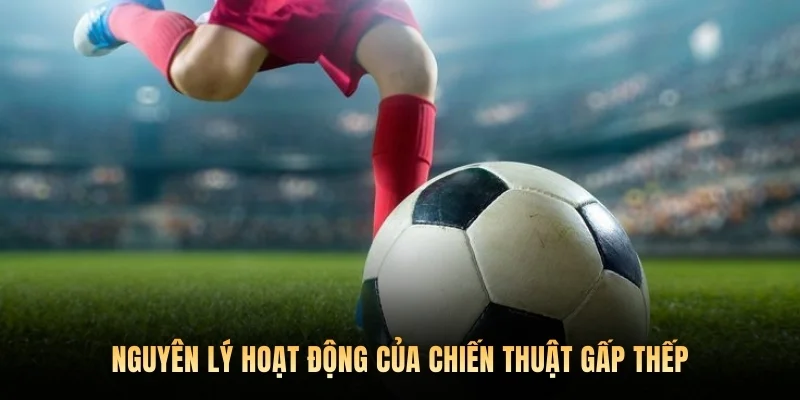 Nguyên lý hoạt động của chiến thuật gấp thếp