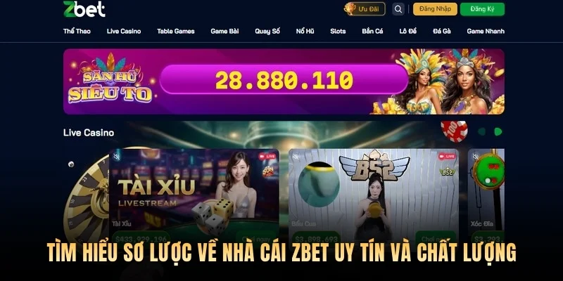 Tìm hiểu sơ lược về nhà cái Zbet uy tín và chất lượng