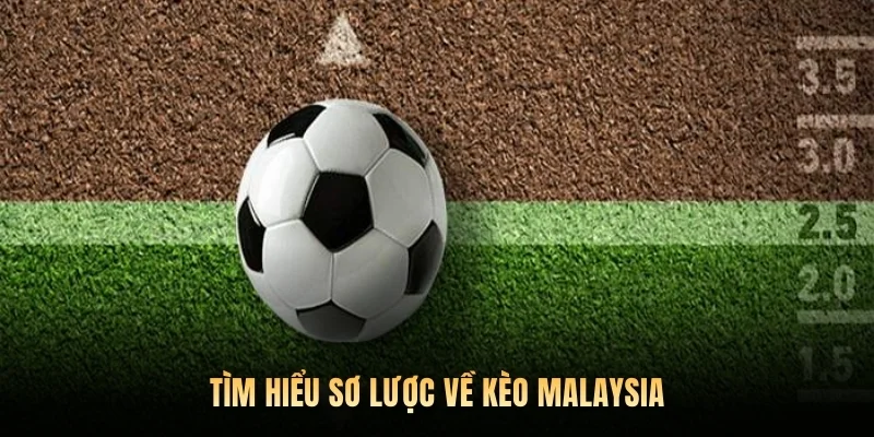 Tìm hiểu sơ lược về kèo Malaysia