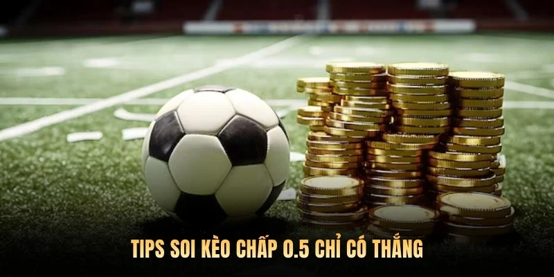 Tips soi kèo chấp 0.5 chỉ có thắng