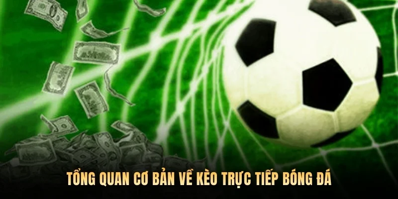 Tổng quan cơ bản về kèo trực tiếp bóng đá