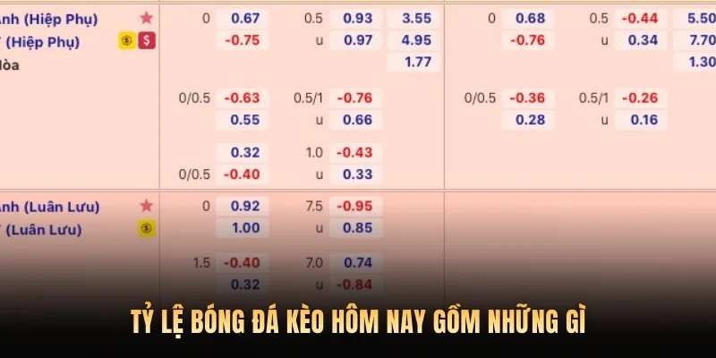 Tỷ lệ bóng đá kèo hôm nay gồm những gì