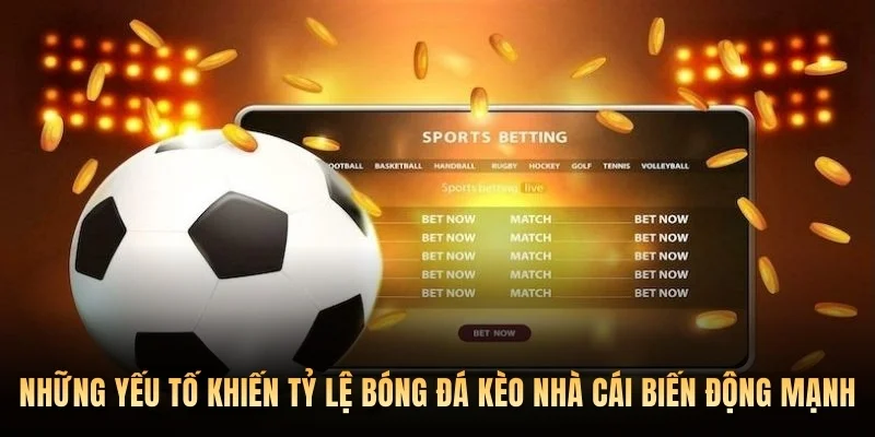 Những yếu tố khiến tỷ lệ bóng đá kèo nhà cái biến động mạnh